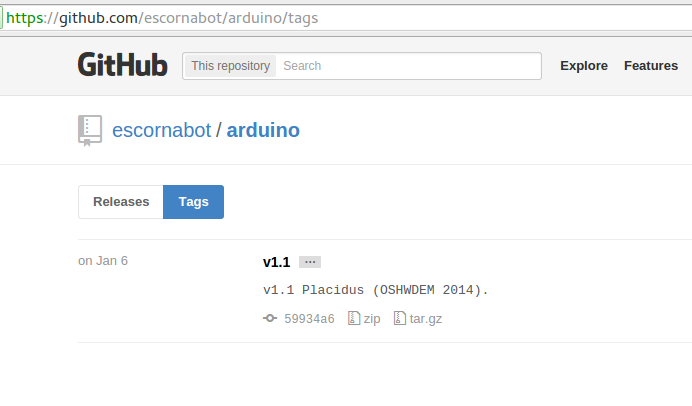 Version tags in Github